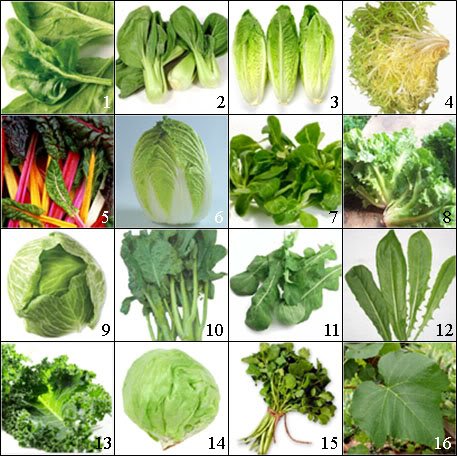 SAquaponics's tweet photo. #HealthyOrganicLifestyle  Greek word diaita "way of life" English word diet "Lifestyle" healthy organic lifestyle. https://t.co/cVUkq91cRN