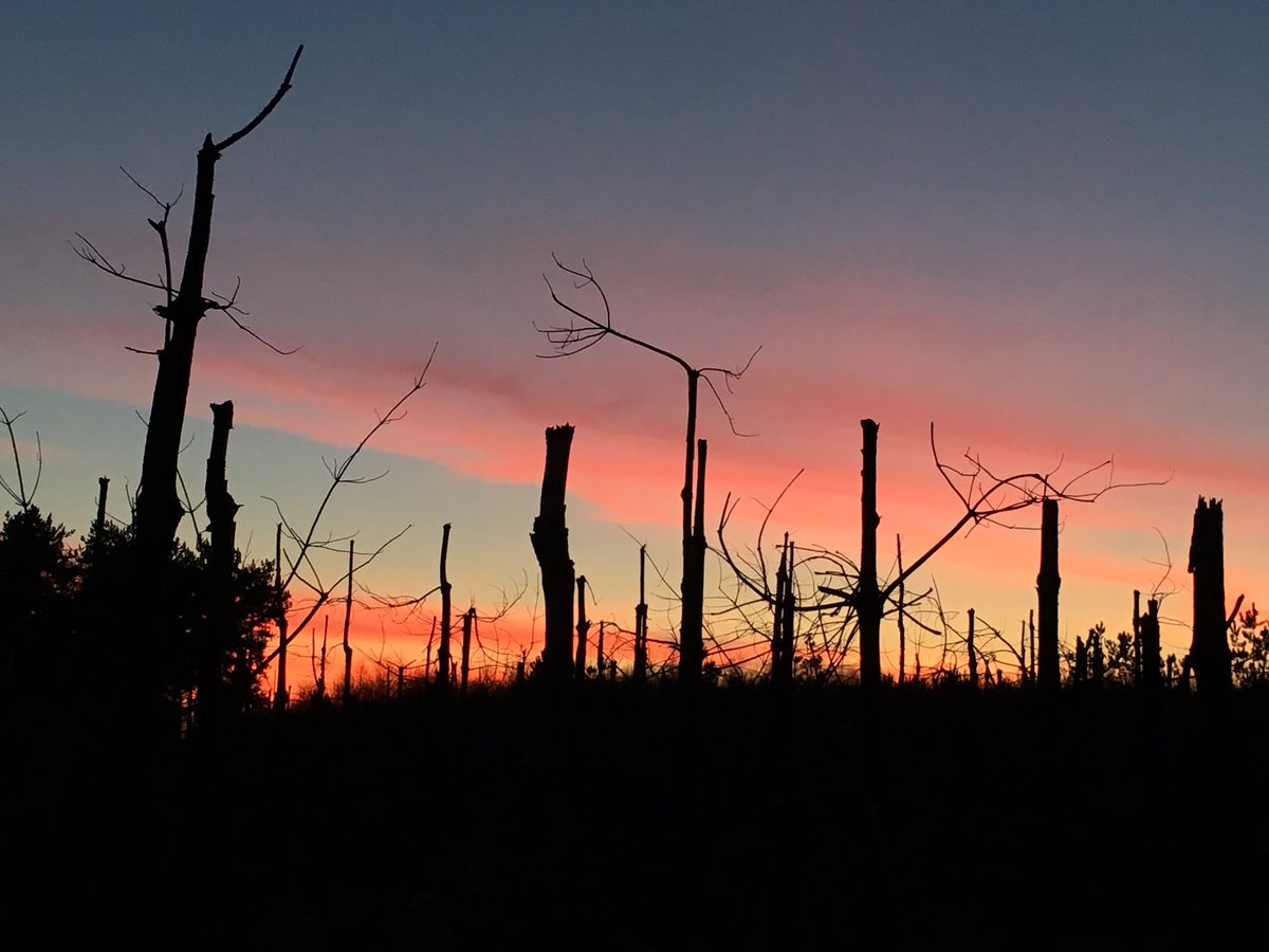 HemstockNick's tweet photo. Out for cheeky Monday evening sunset ride.@SaddleSkedaddle @hfholidays https://t.co/dWyjdcK00y