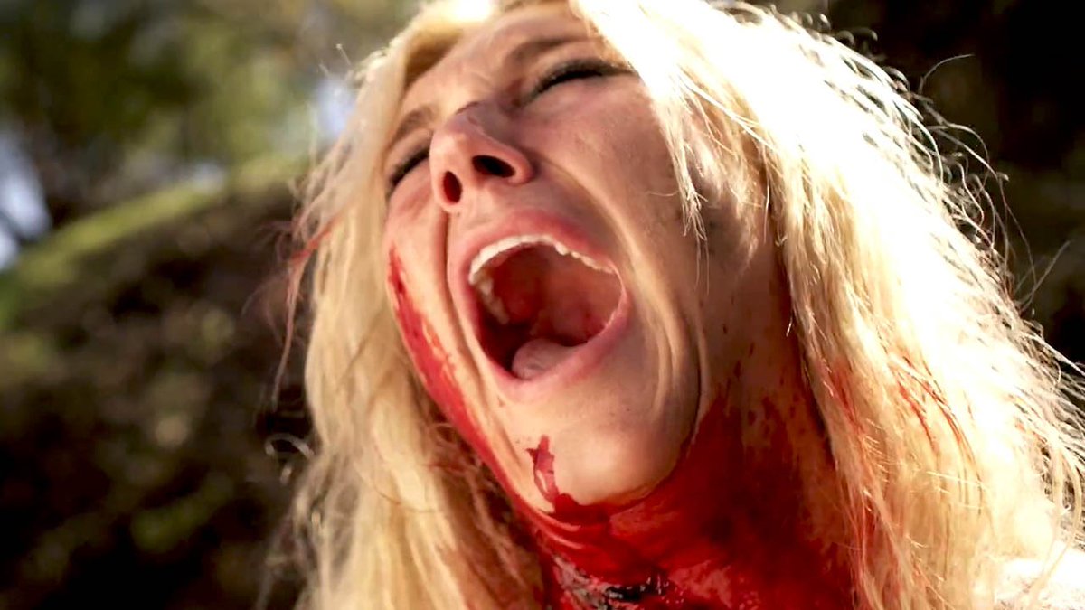 Sarah of Horror tweet media