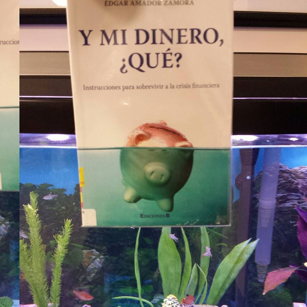 pmlib's tweet photo. #luneslibros
No se ahogue en deudas 😟😟
Don't drown in debt 😦😦
#pmlibrary #pmlib #pmlibreads #patchogue #librariesof… https://t.co/y17RmzVaJq