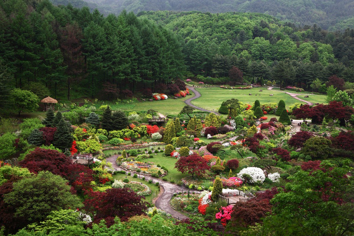 The garden of morning calm... Korea!