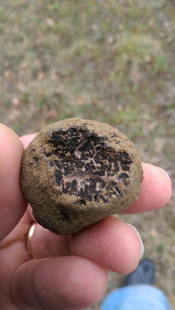 ATruffles's tweet image. Still very good stuff around!!