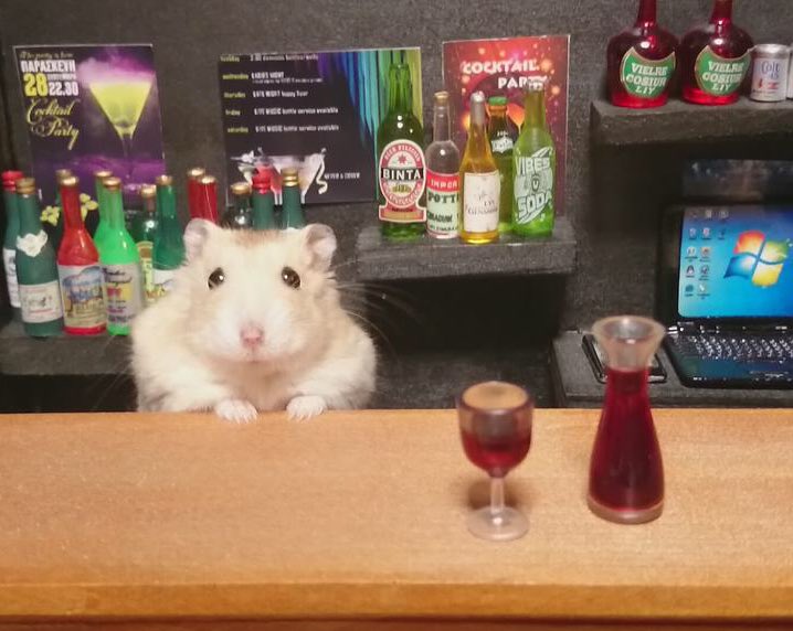 Jokukuma's tweet photo. Hamsters Bartenders 🐹🍺😇 https://t.co/GvVk7CfClo https://t.co/EuGmJqOwa4