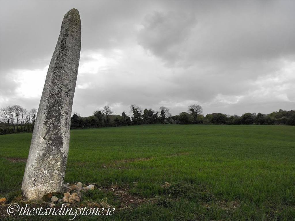 StandingStoneIE's tweet photo. 74/366 - Craddockstown West, Standing Stone, Co. Kildare. This stone is somewhat smaller t… https://t.co/QnQd3OOMKa https://t.co/KXydX0gesR