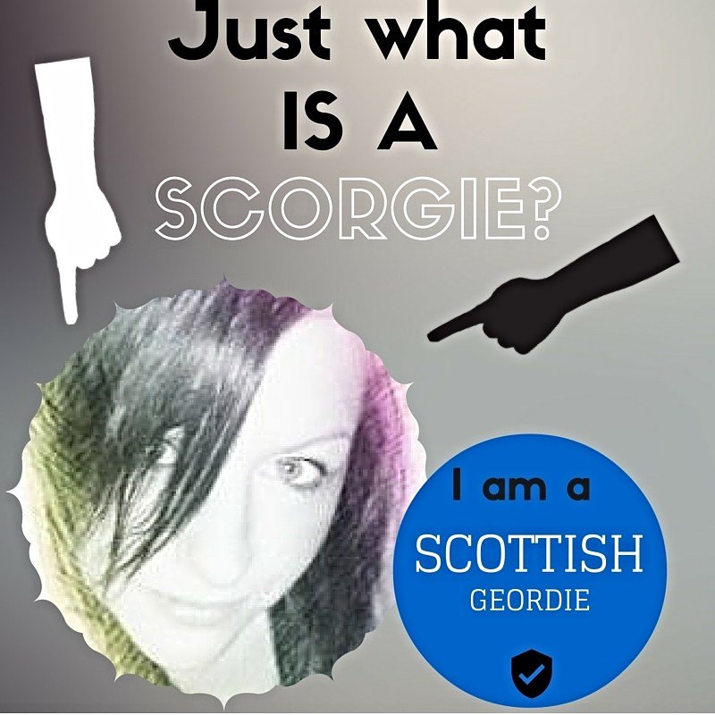 PurrrdyPanda's tweet photo. The who’s who in Scorgie life! https://t.co/VIBgSszR3L https://t.co/fLTSKhrWns