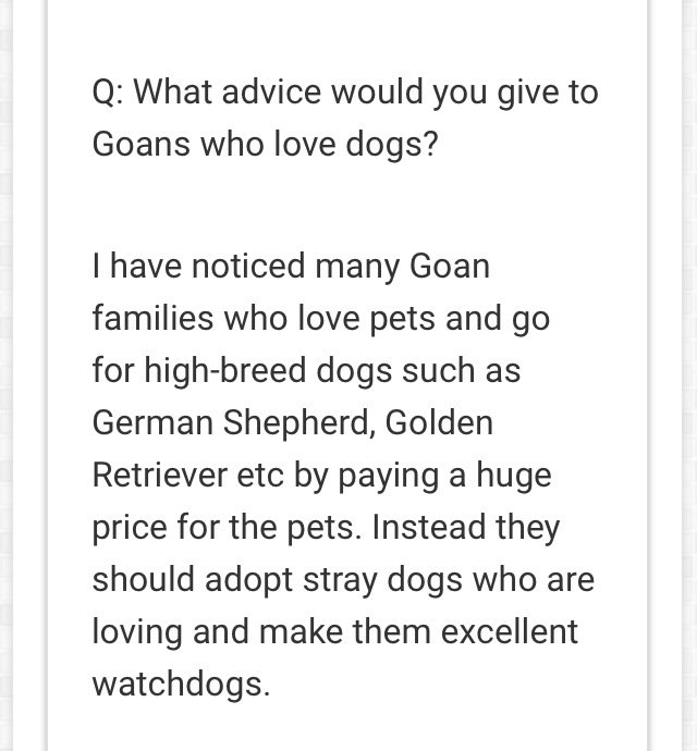 SallyGoodall1's tweet photo. #Goans! Why spend your money on costly #BreedDogs when so many handsome #Strays need homes? Pls #Adopt See @GAWT_Goa https://t.co/pQetITciEH