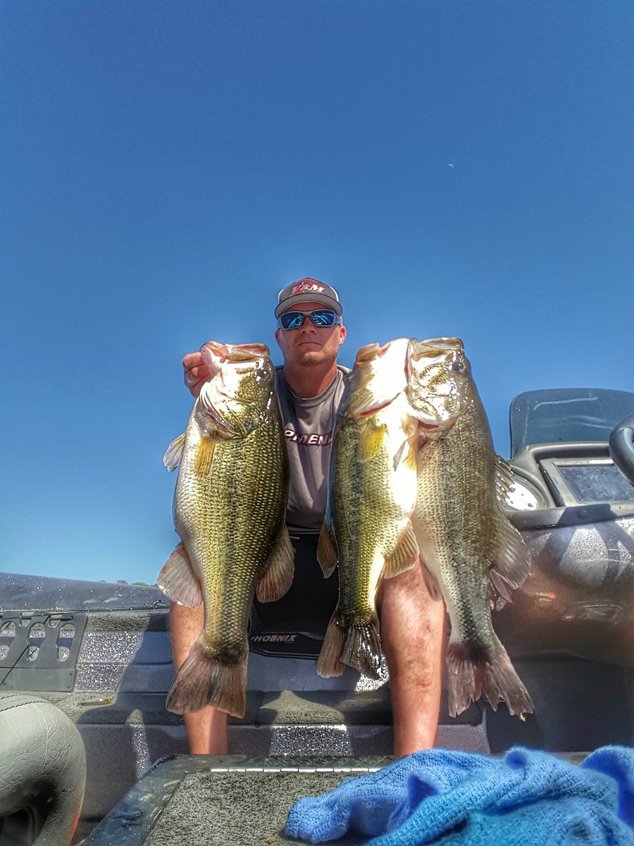 a_kochell's tweet photo. Shallow crank bite was on. @13fishing @toledobend @TolBendCountry @BASS_nation @BassFishnTips @BassUniversity https://t.co/oqUCU5AJ84