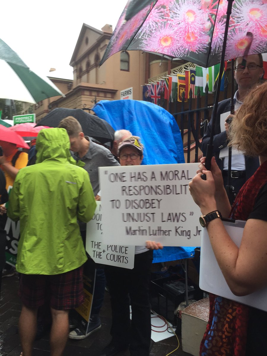 nellevision's tweet photo. Rain will not deter us! #defendourrighttoprotest https://t.co/ZkBBYpV4Cu
