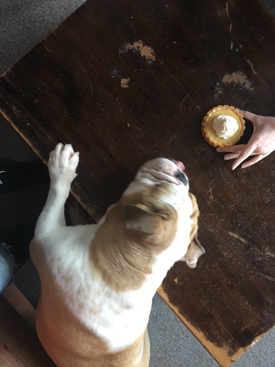 kaye_squared's tweet image. #PiDay #PiDay2016