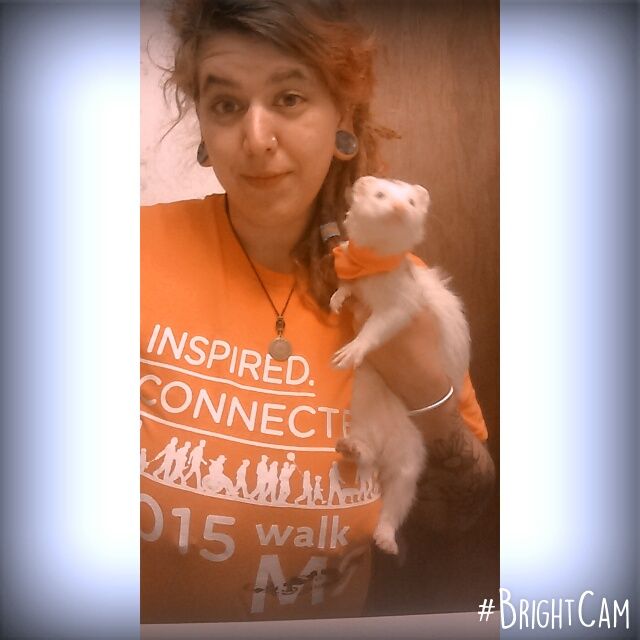 StonedMSUnicorn's tweet photo. Ozzy, my Epileptic boy.Wearing #OrangeForMs because he's #MySupportHero pet! Animals can have invisible illness too! https://t.co/v1ml9bIOGG