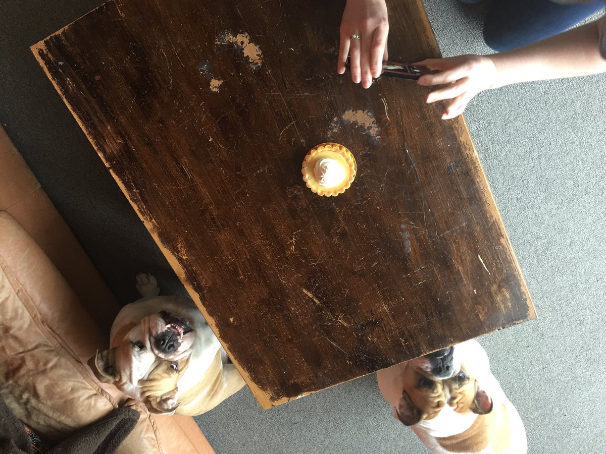 kaye_squared's tweet image. #PiDay #PiDay2016 #bulldog #mascots