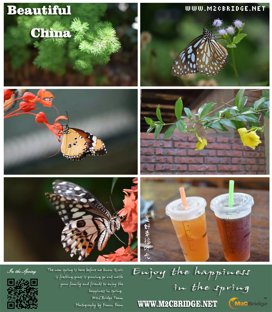 M2CBridge's tweet image. Spring is coming, go outside with family and friends to enjoy the fresh air and green grass and blue sky. M2CBridge