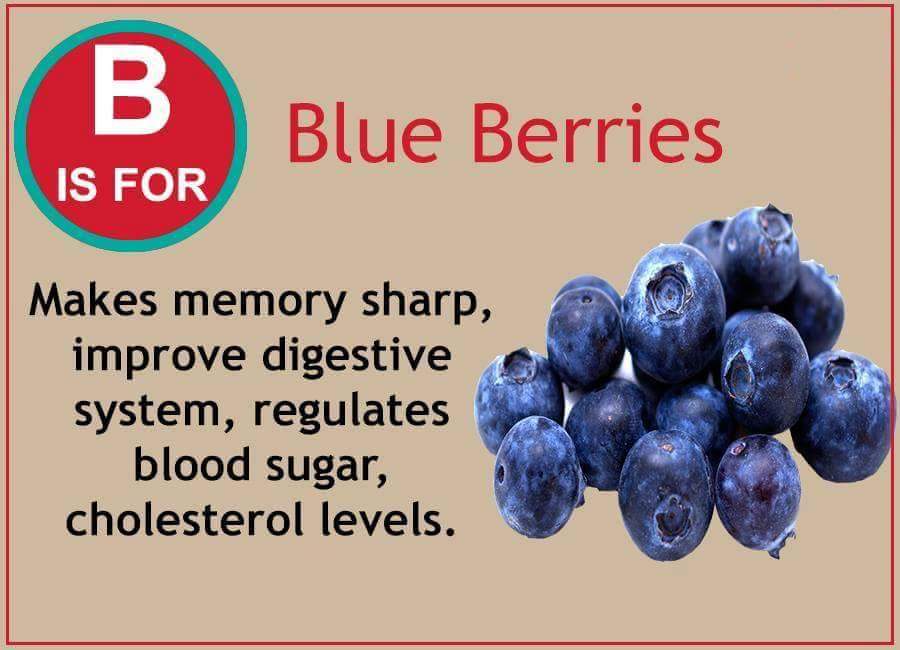 GoPurpleHealth's tweet image. Find out about the potential health benefits of Blue Berries..
