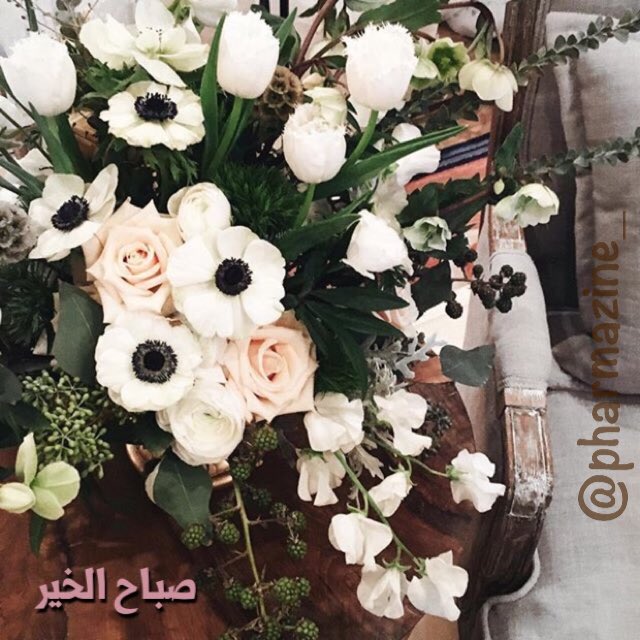 pharmazine_'s tweet photo. صباح الخير ..
☀️🌿 https://t.co/rTOIfRXHub