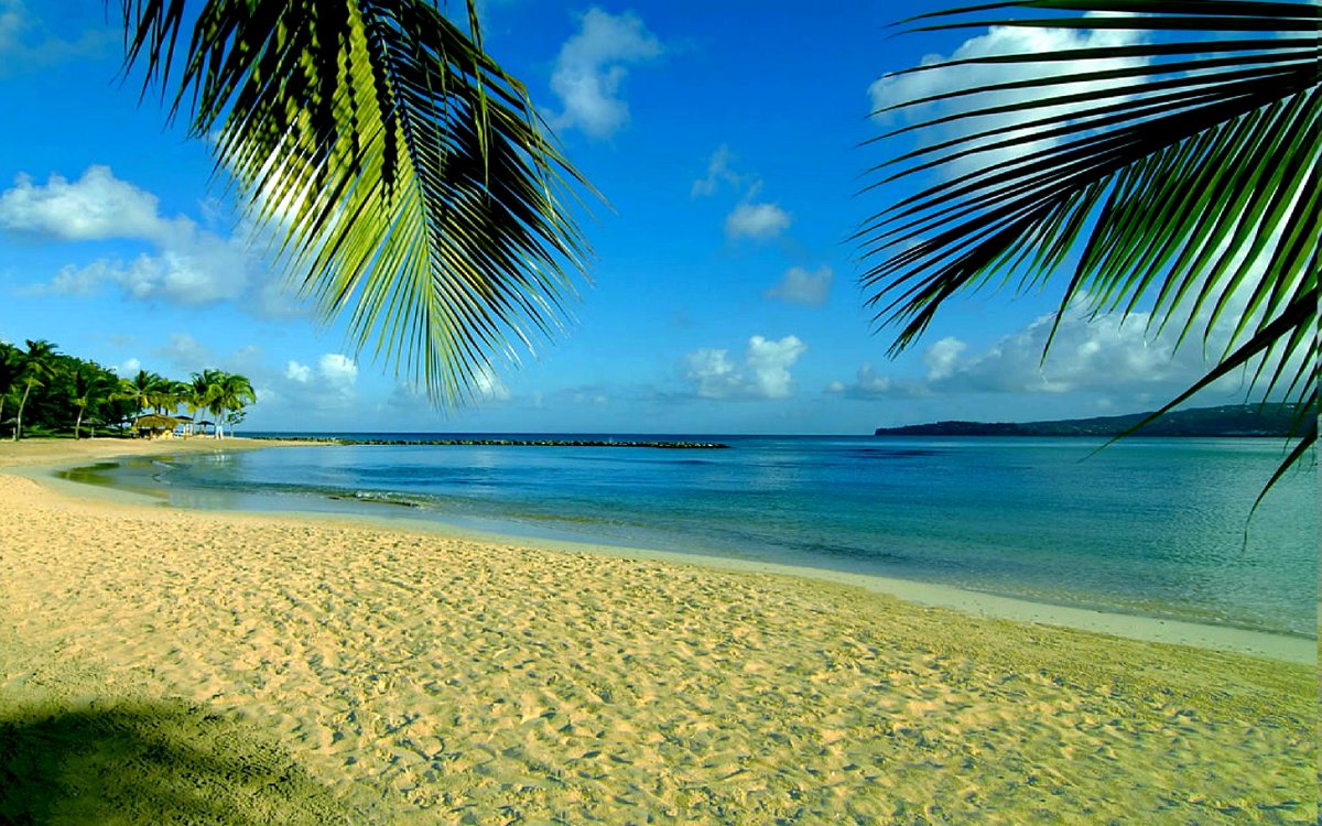 wbo_polcode's tweet image. This is my test post with link http://www.developersbl