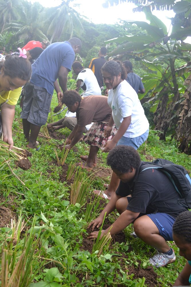 ColinTukuitonga's tweet photo. Pacific Community @spc_cps &amp; @UND P_Pacific #IFAD supporting > 1000 young people engagement in organic agriculture https://t.co/mxFTWJXCWo