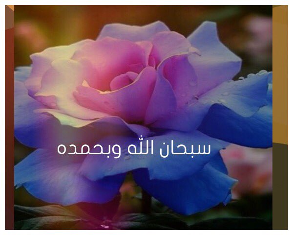 AA889991's tweet image. 