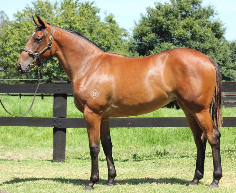 Debbie Kingshott tweet media