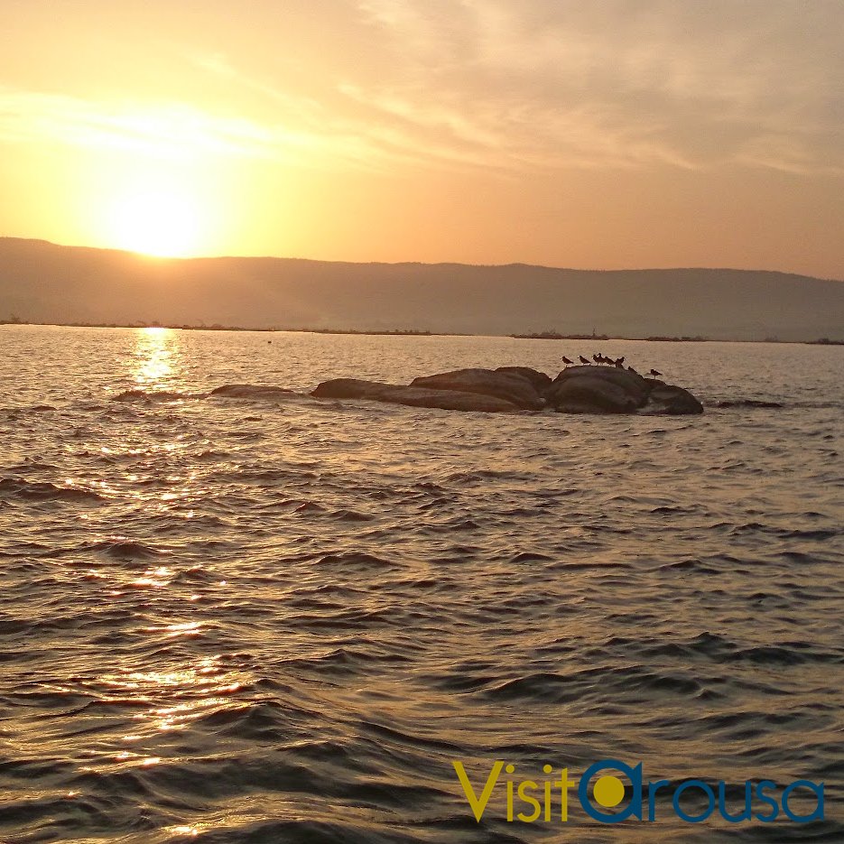 VisitArousa® sabe a viñedo y a camelia, a naturaleza  y mar, alojamientos con encanto, en una palabra a “bien estar”