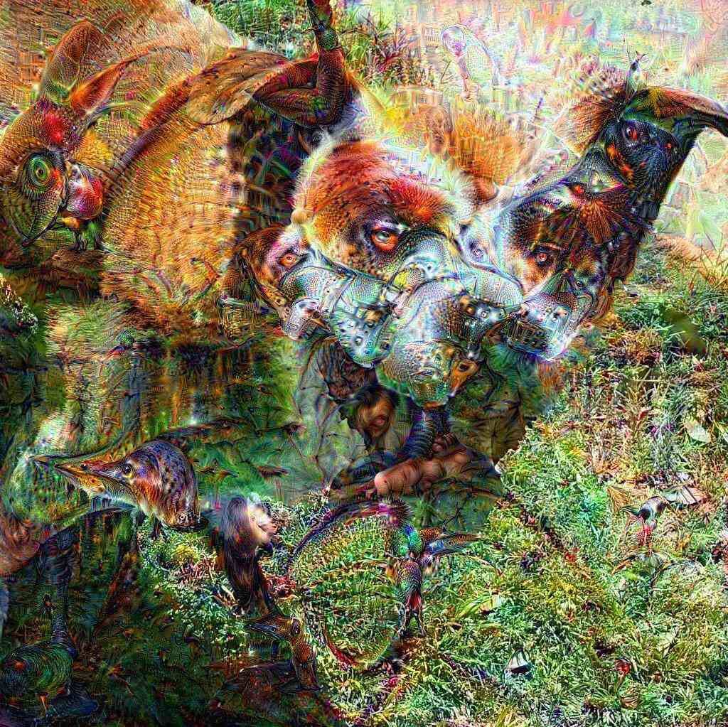 dreamifyio's tweet photo. IMAGE OF THE DAY: The Wonderful Original's dog photo looks more like Cujo after applying custom #dreamify parameters https://t.co/F0zOyTNJIb
