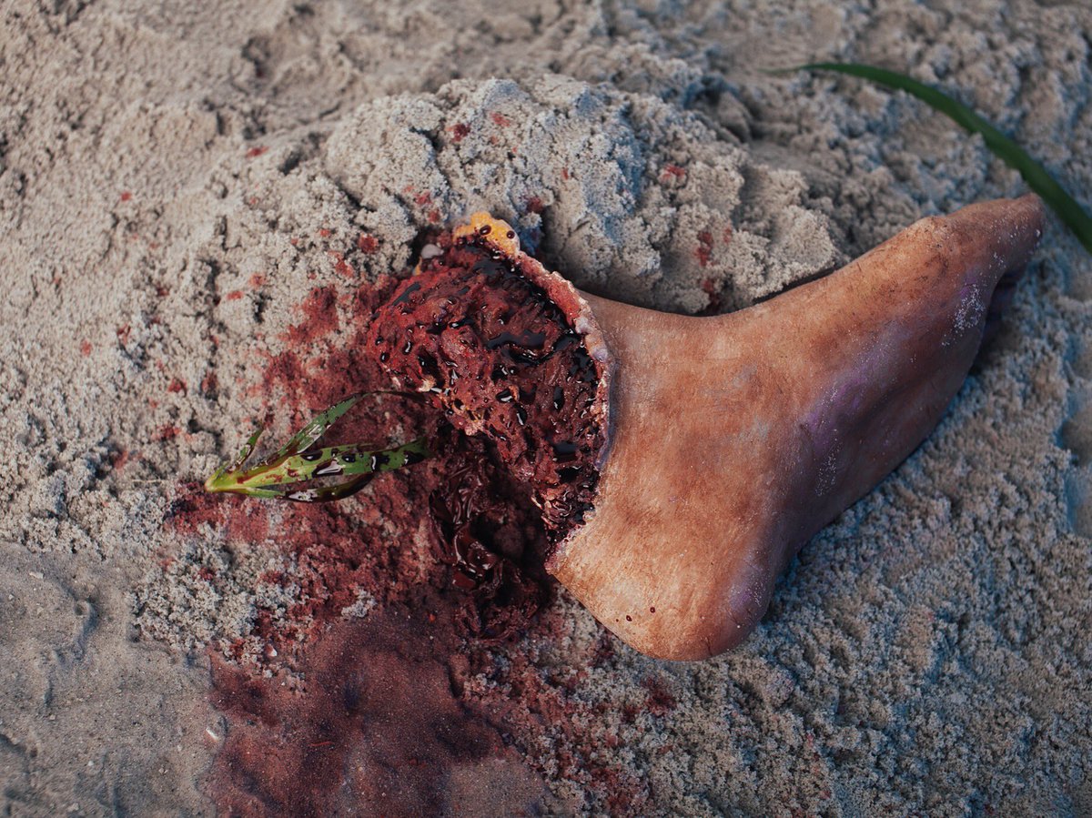 AACM_AU's tweet photo. Footsteps in the sand.... 😂

#3Dbodyforms #spfxmakeup #props #wedoweirdstuffhere https://t.co/0Mn2HdmX01