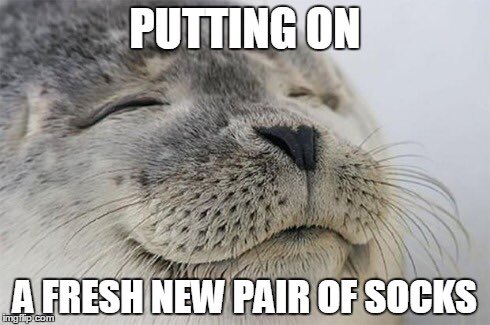 idealehk's tweet photo. #socks @idealehk 

#freshsocks #seal #socksoftheday #thedream https://t.co/DZPGJD9NhY