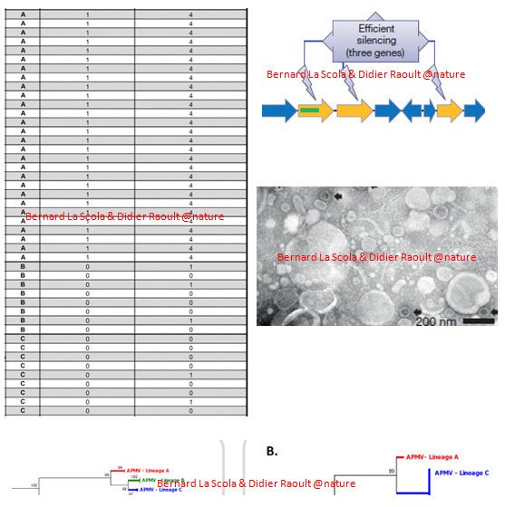 boba_oudou's tweet photo. ↑
@boba_oudou
@nature
-その近傍に #CRISPR 様の蛋白コード遺伝子も存在
-この免疫防御機構配列を #MIMIVIRE と命名
#GenomeSequence #nhk24 https://t.co/D3oOjmuiBo