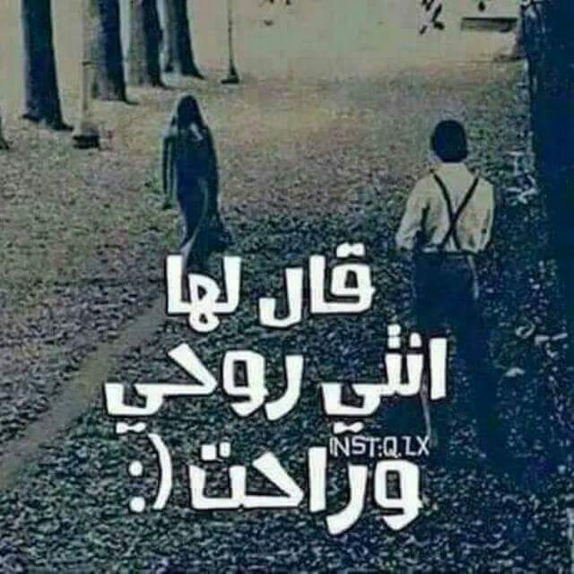SAhar Ros tweet media