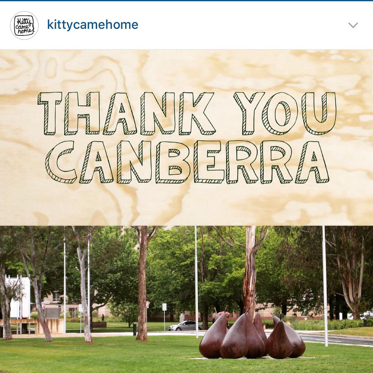 Just like our friends at @kittycamehome said, thanks Canberra. Thank you for supporting our Australian designers.