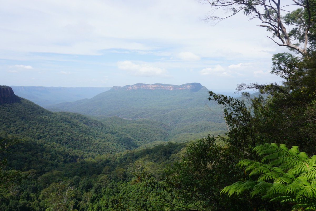 triandikaa's tweet image. Blue mountain national park, 1 dari bbrp taman nasional yg mengelilingi sydney @Rhenald_Kasali #getlost113 #30paspor