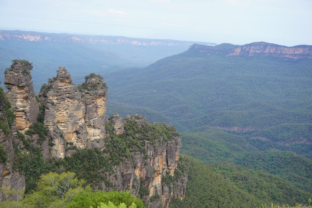 triandikaa's tweet image. Blue mountain national park, 1 dari bbrp taman nasional yg mengelilingi sydney @Rhenald_Kasali #getlost113 #30paspor