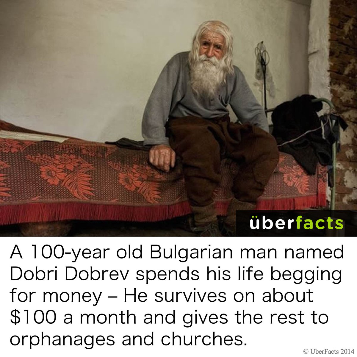 UberFacts tweet media