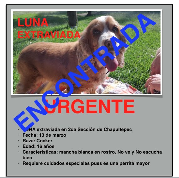 BerryBrenda tweet media