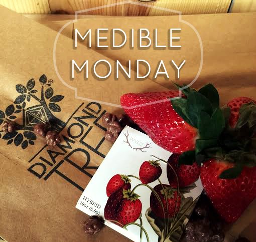 DiamondTREE_Inc's tweet photo. #mediblemondays! Come see whats new on the shelves! #ommpONLY https://t.co/a5lwJZVB0S