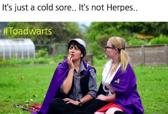 CCCreationsinc's tweet photo. #Toadwarts the #Webshow, Comes out in March! 
 follow for daily #funny #pics!
#memes #cccreations #breakboxmedia https://t.co/oUrW2fcyRe