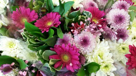 Chrysant populairste bloem voor #internationalevrouwendag mi8.ly/u14ytn