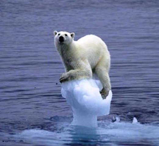 Teken en maak van de Noordpool een permanent beschermd gebied! #savethearctic greenpeace.nl/noordpool/