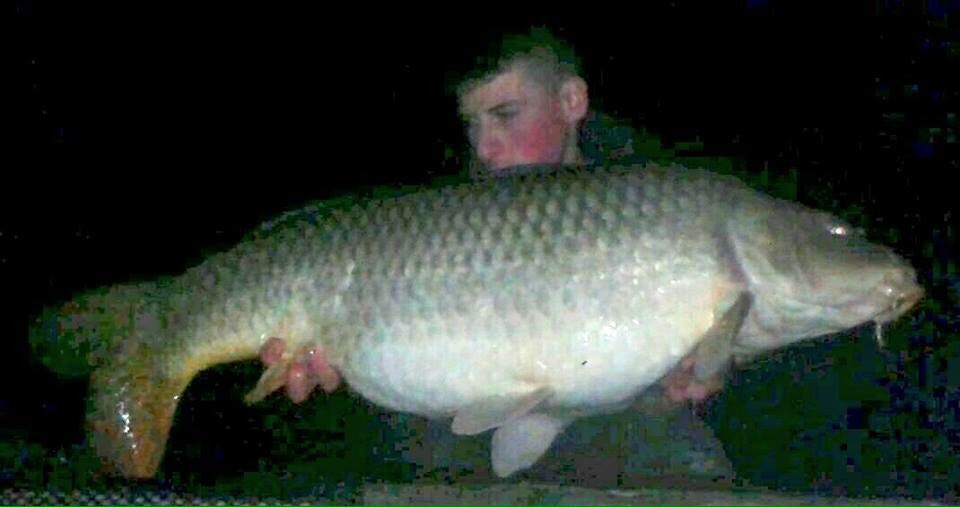 galaxybaits's tweet photo. Team France Pierrick Bugnon with brace of #galaxychunks last week Galaxsea Plum pullin em in along with #topdangling https://t.co/6QJdIdu9W4
