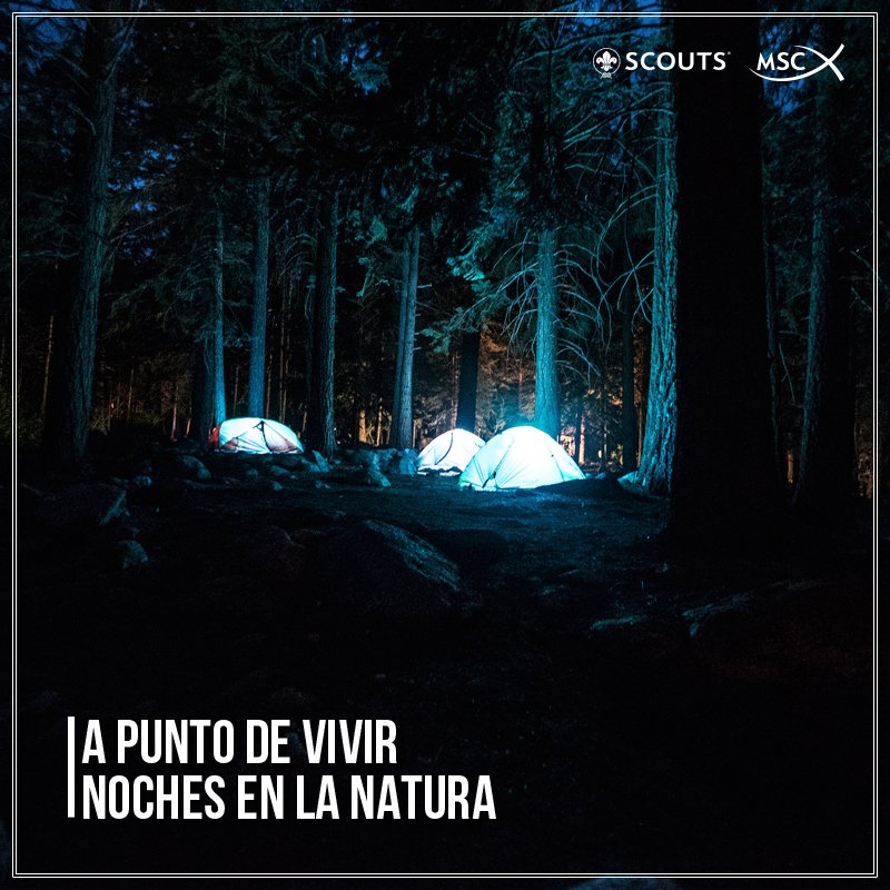 scouts_msc's tweet photo. ¿Cuándo os vais? ¿Dónde? ¿Haréis algo especial? #FelizMartes #SomosScouts https://t.co/G87W0lEvXV
