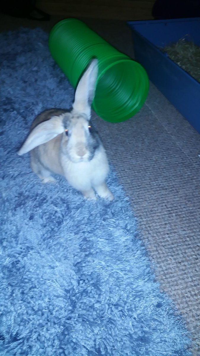 Image Magazines tweet media