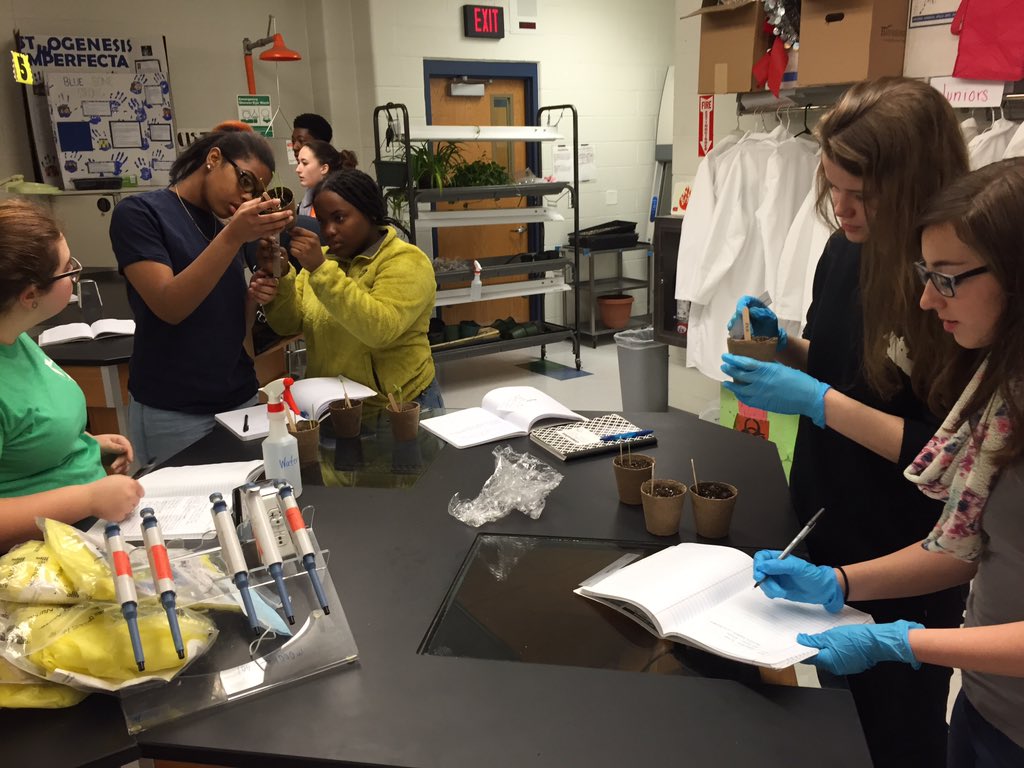 kkdemarest's tweet photo. @StGeorges Biotech juniors compare growth rates between GMO seeds and wild seeds. #RealLearning4RealLife https://t.co/32l5mBMDOi