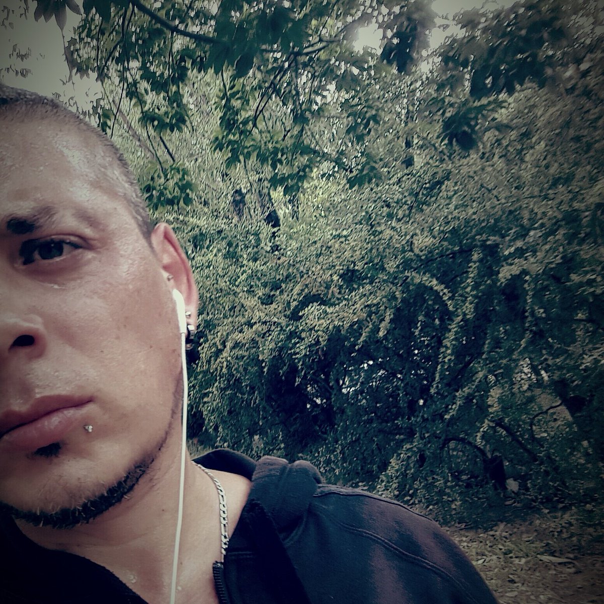 ulisesesta's tweet photo. Gracias a todos y todas yatusabes jajaja si si sudor https://t.co/XBcTkNW9kc