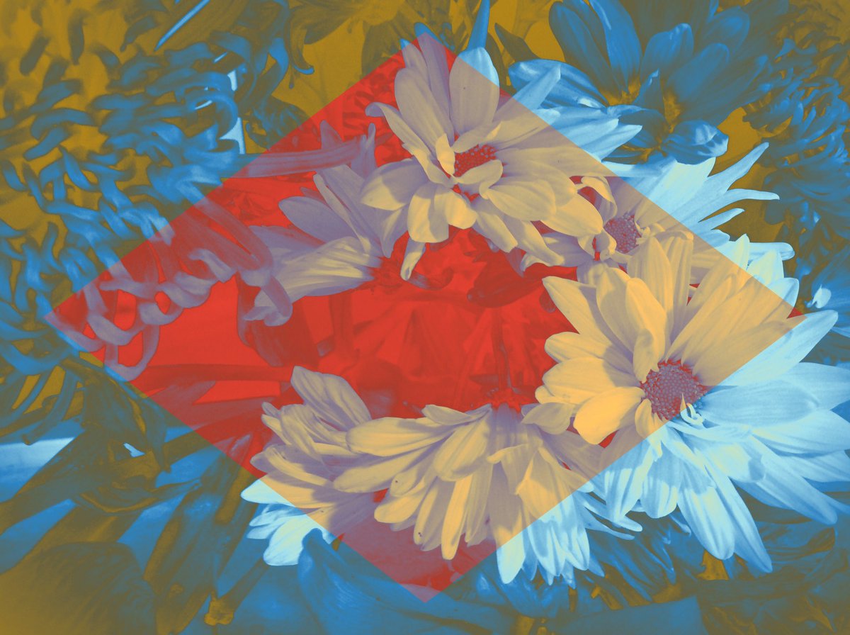 CBAWestChester's tweet photo. Digital photography students are learning the art of color filters with #colorburn https://t.co/vw2kSdl20f