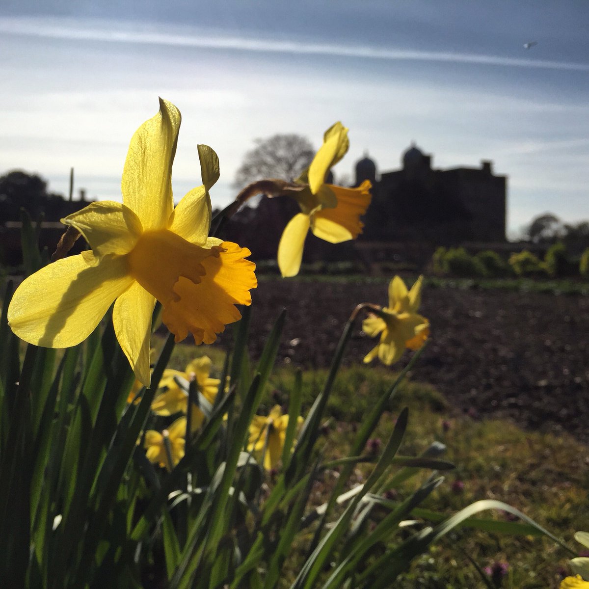 DoddingtonHall's tweet photo. Enjoy #gardens .@The_RHS? Did you know @DoddingtonHall we're a #PartnerGarden, meaning RHS members can visit f.o.c! https://t.co/t6SG3DAGOm