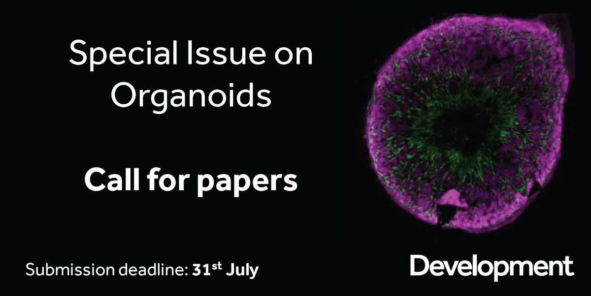 Dev_journal's tweet photo. Announcing a new Special Issue on Organoids, guest edited by Melissa Little! 
Find out more: https://t.co/6WTxqh85Kh https://t.co/9X0rFciCUw