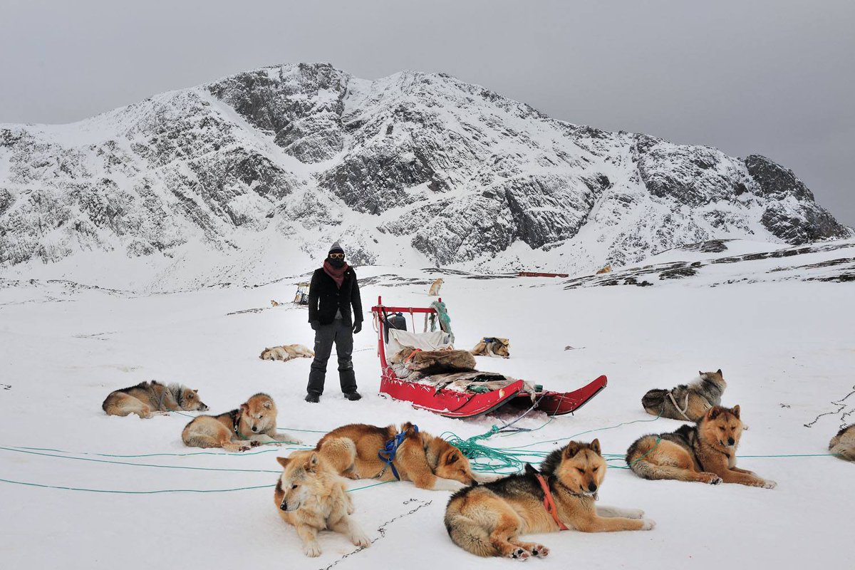 classetouriste's tweet photo. Ready for some dog sledging in #Greenland. Going off the grid, #findingremote, away from the world! @visitgreenland https://t.co/iMXSJNwlr8