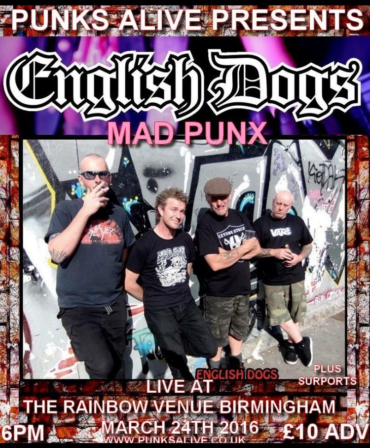 EnglishDogs PunkRock tweet media