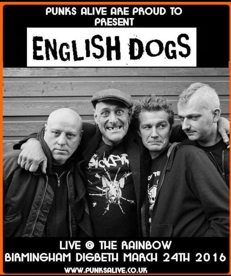 EnglishDogs PunkRock tweet media