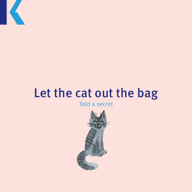 KaplanRU's tweet photo. Перевод: Выпустить кота из мешка. Значение: проболтаться, рассказать секрет, выдать тайну. #Idioms #Kaplan https://t.co/4gY0ngHPap