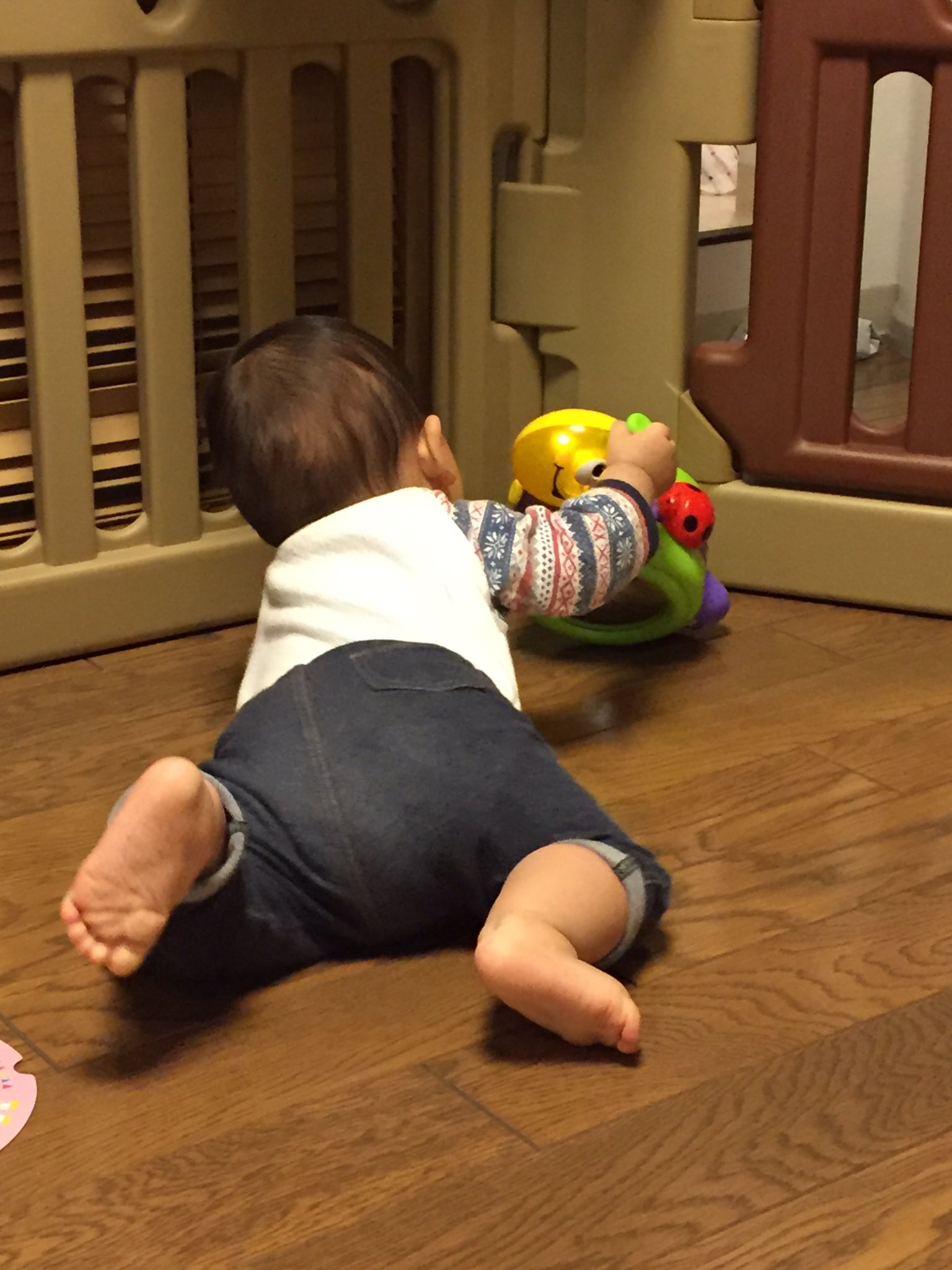 働くそらまめ 6歳 2歳 久しぶりに出したおもちゃに物凄い食いついている 赤ちゃんも毎日見てるおもちゃ は飽きるのね どんなに振り回されても けなげに笑い続けおもちゃの声に哀愁を感じる T Co Gjihmh9xrm Twitter 働くそらまめ 6歳 2歳 久しぶりに出したおもちゃに物凄い食いついている 赤ちゃんも毎日見てるおもちゃ は飽きるのね どんなに振り回されても けなげに笑い続けおもちゃの声に哀愁を感じる T Co Gjihmh9xrm Twitter